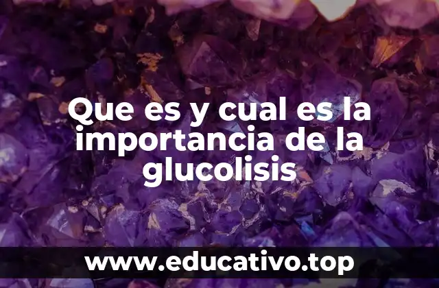 Que es y cual es la importancia de la glucolisis