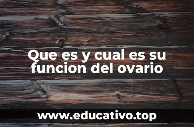 Que es y cual es su funcion del ovario