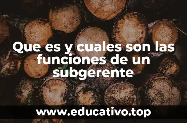 Que es y cuales son las funciones de un subgerente