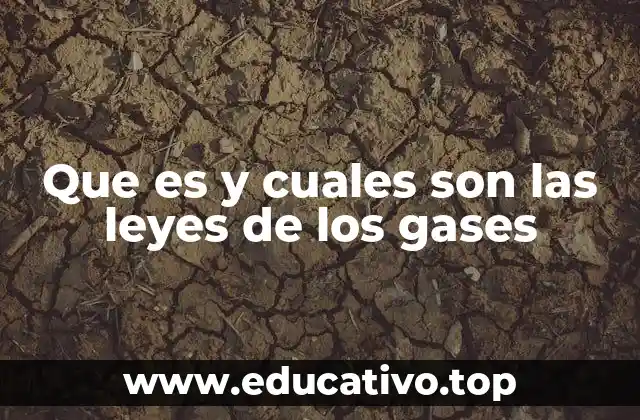 Que es y cuales son las leyes de los gases