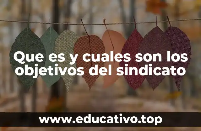 Que es y cuales son los objetivos del sindicato