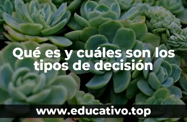 Qué es y cuáles son los tipos de decisión