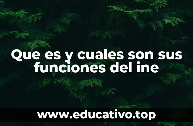 Que es y cuales son sus funciones del ine