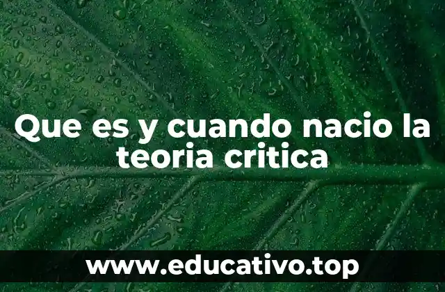 Que es y cuando nacio la teoria critica