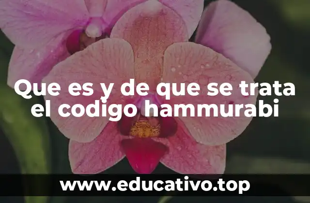 Que es y de que se trata el codigo hammurabi