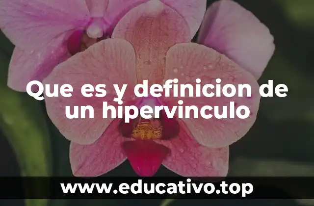 Que es y definicion de un hipervinculo