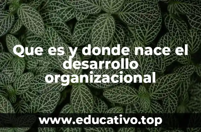 Que es y donde nace el desarrollo organizacional