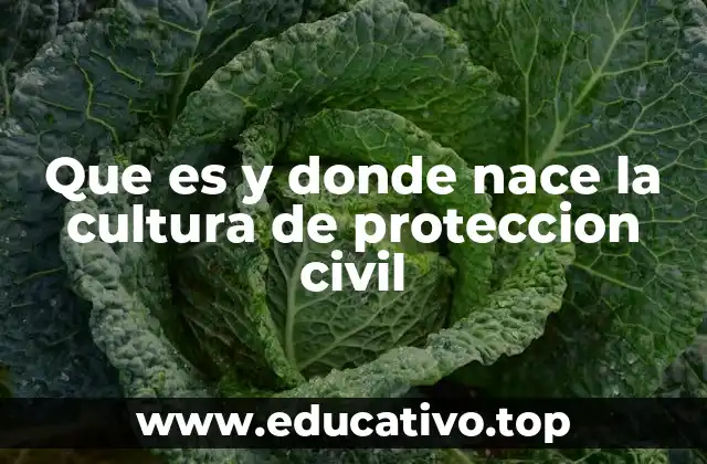 Que es y donde nace la cultura de proteccion civil