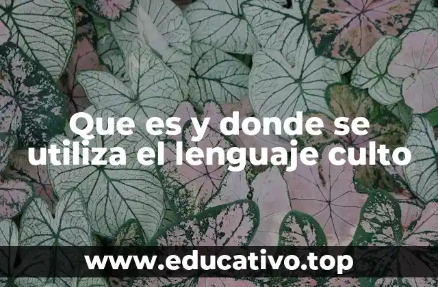 Que es y donde se utiliza el lenguaje culto
