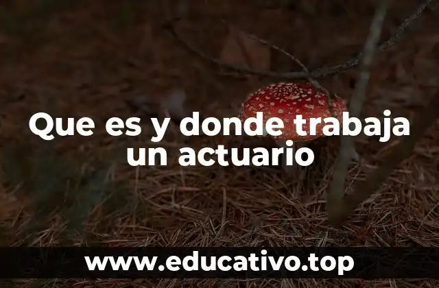 Que es y donde trabaja un actuario