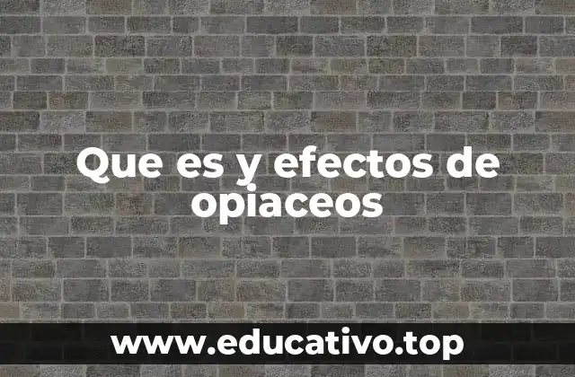 Que es y efectos de opiaceos