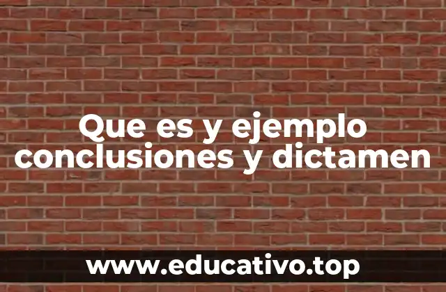 Que es y ejemplo conclusiones y dictamen
