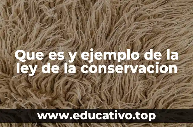 Que es y ejemplo de la ley de la conservacion
