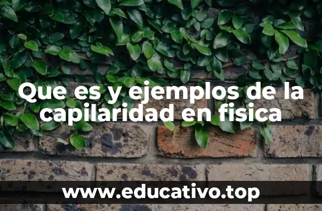 Que es y ejemplos de la capilaridad en fisica