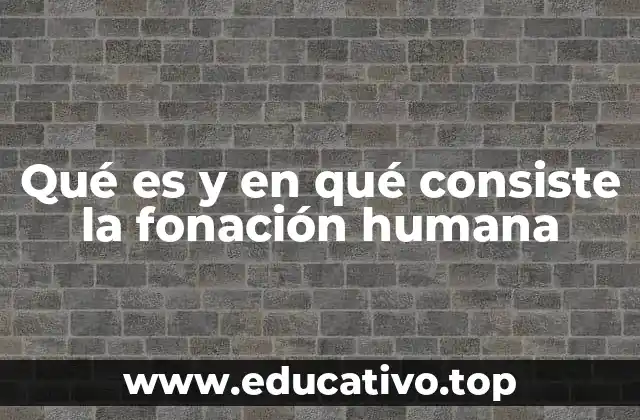 Qué es y en qué consiste la fonación humana