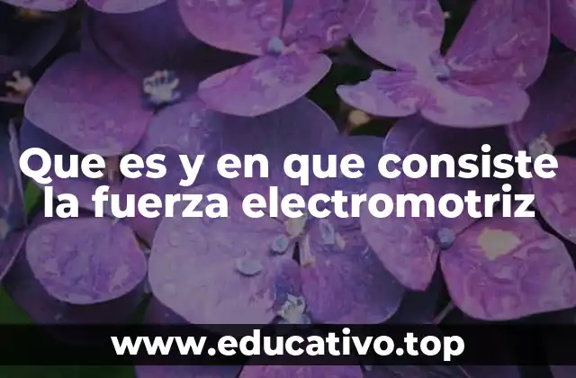Que es y en que consiste la fuerza electromotriz