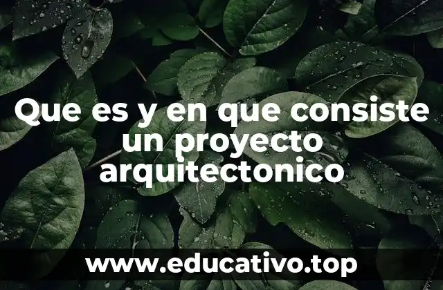 Que es y en que consiste un proyecto arquitectonico
