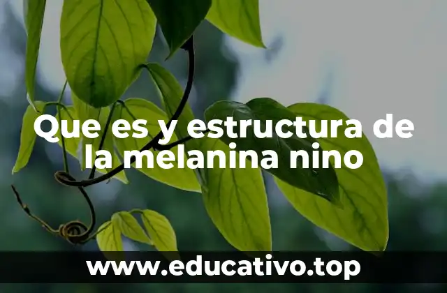 Que es y estructura de la melanina nino