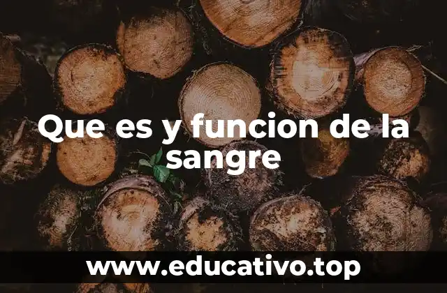 Que es y funcion de la sangre