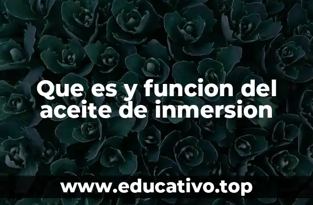 Que es y funcion del aceite de inmersion