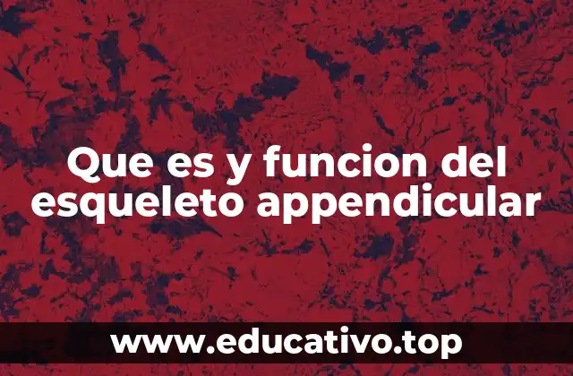 Que es y funcion del esqueleto appendicular