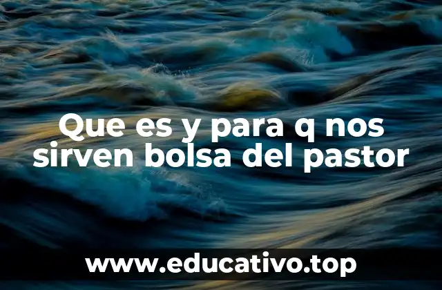 Que es y para q nos sirven bolsa del pastor