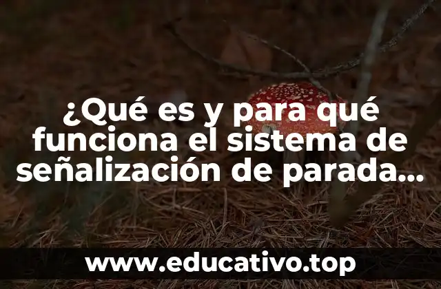 La importancia de los sistemas de señalización en entornos industriales