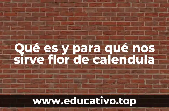 Qué es y para qué nos sirve flor de calendula