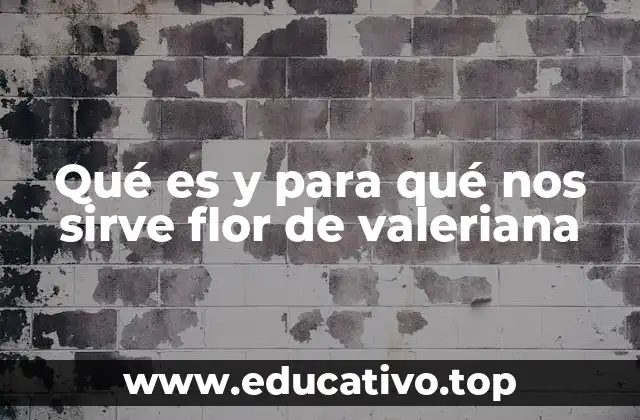 Qué es y para qué nos sirve flor de valeriana