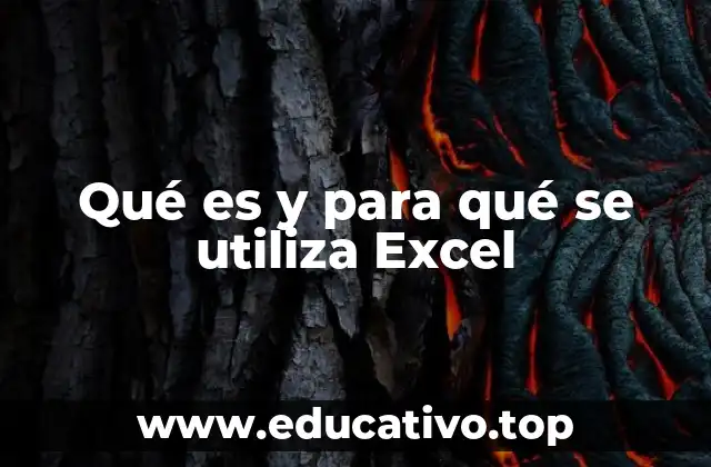 La importancia de las hojas de cálculo en el entorno digital