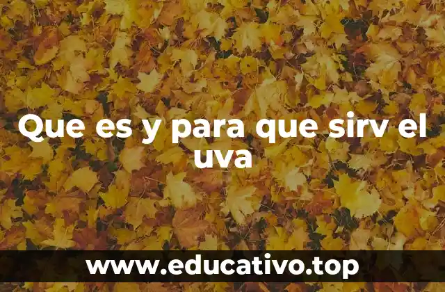 Que es y para que sirv el uva