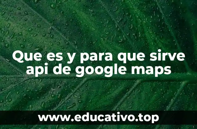 Que es y para que sirve api de google maps