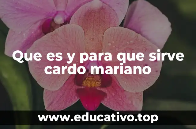 Que es y para que sirve cardo mariano