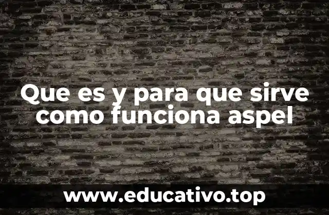 Que es y para que sirve como funciona aspel