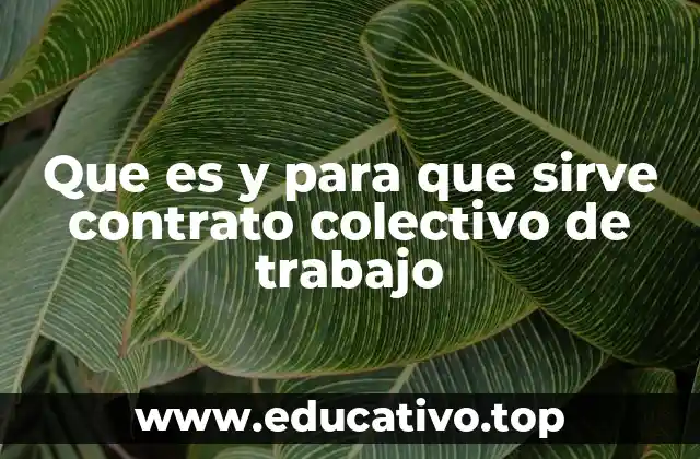 Que es y para que sirve contrato colectivo de trabajo