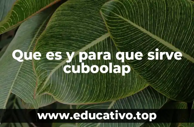 Que es y para que sirve cuboolap