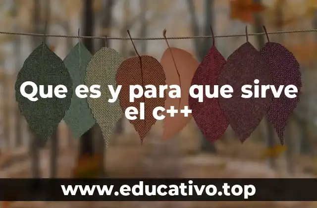 Características que distinguen al C++