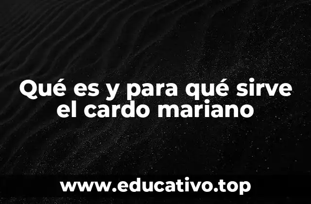 Qué es y para qué sirve el cardo mariano