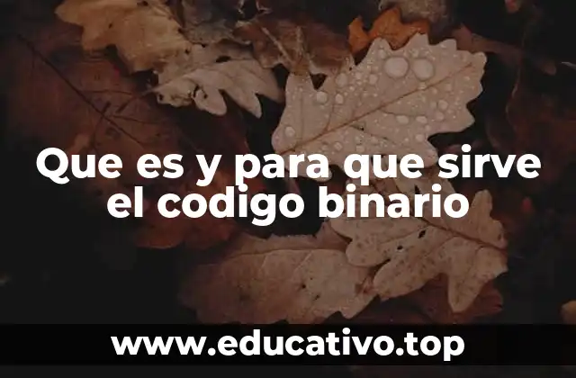 Que es y para que sirve el codigo binario