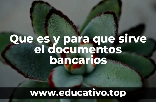 Que es y para que sirve el documentos bancarios