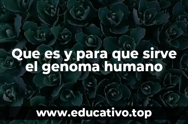Que es y para que sirve el genoma humano