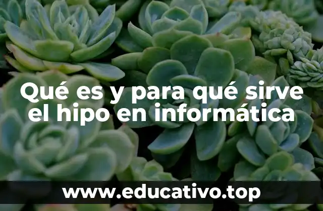 El papel del hipo en la gestión de redes informáticas