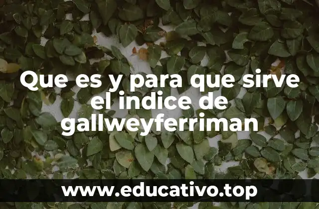 Que es y para que sirve el indice de gallweyferriman