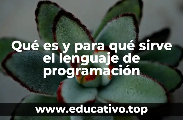 Qué es y para qué sirve el lenguaje de programación