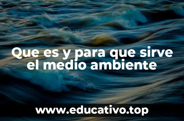 Que es y para que sirve el medio ambiente
