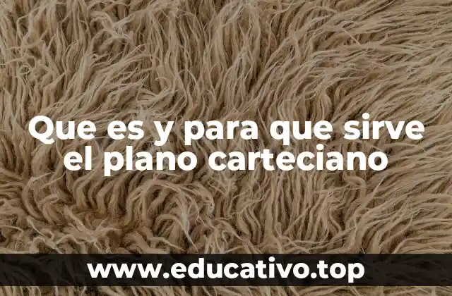 Que es y para que sirve el plano carteciano