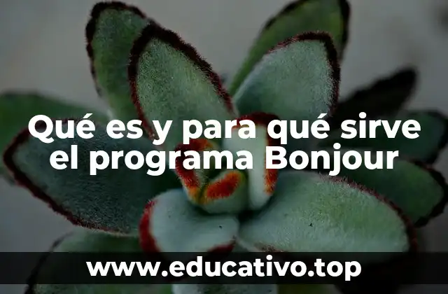 Qué es y para qué sirve el programa Bonjour