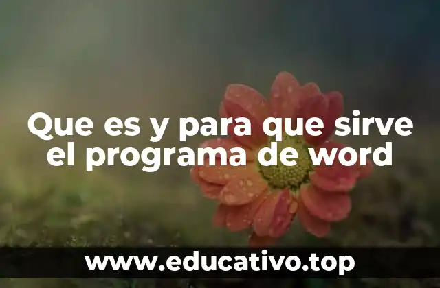 Que es y para que sirve el programa de word