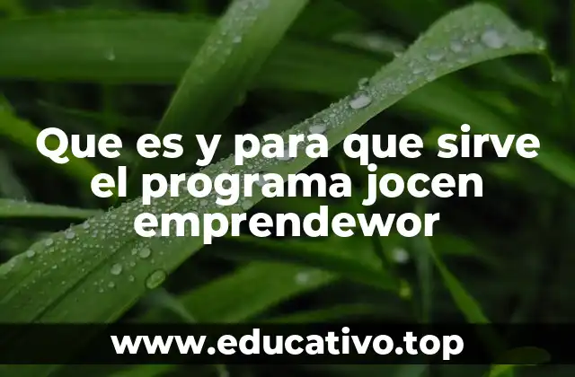 Que es y para que sirve el programa jocen emprendewor