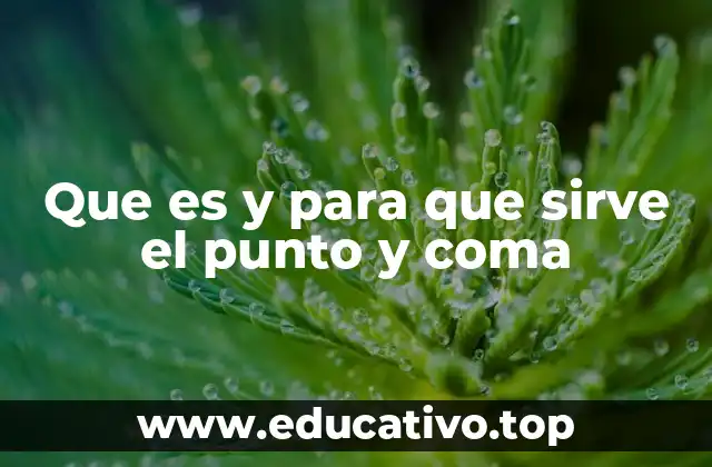 Que es y para que sirve el punto y coma